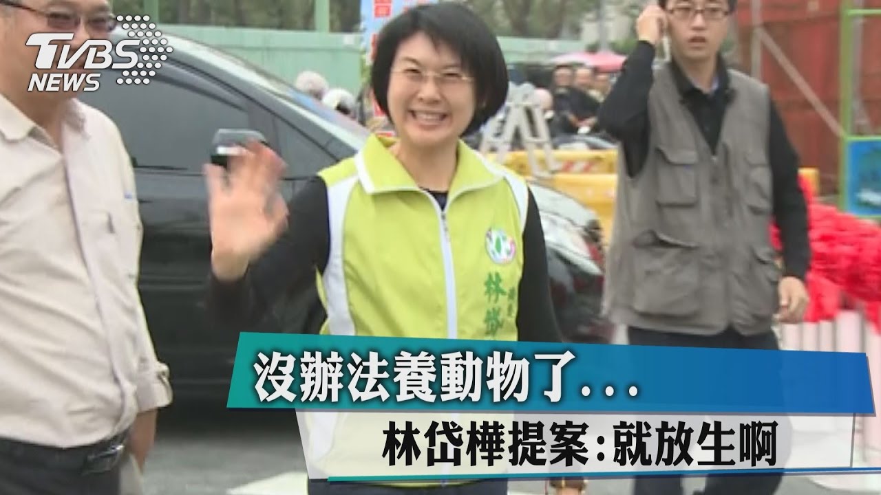 沒辦法養動物了 林岱樺提案:就放生啊