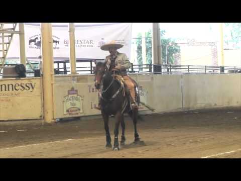 The 5 Best Horse Riding Clubs – 70th Congress and National Charro Championship Jalisco 2014