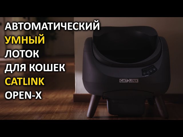 Превью видеоролика