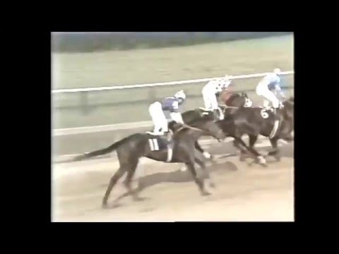 1981 Preakness Stakes - Pleasant Colony