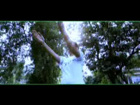 Vestige detox foot patches