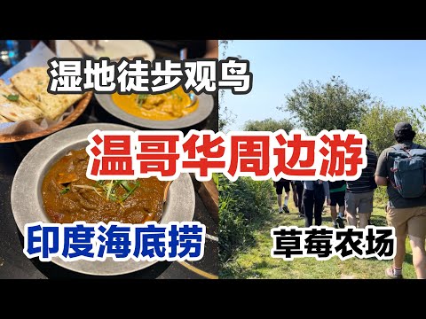 🇨🇦温哥华周边游｜穿正装的美味印度餐｜湿地徒步 观鸟| Emma Lea温哥华最受欢迎草莓农场 Vancouver