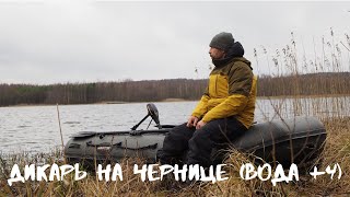 Рыбалка на карпа в белоруссии весной