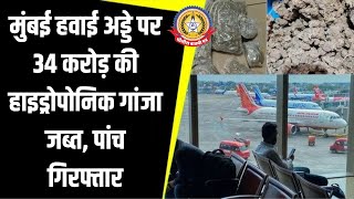 🚨 मुंबई एयरपोर्ट पर 34 करोड़ की हाइड्रोपोनिक गांजा जब्त 5 तस्कर गिरफ्तार! 😱✈️