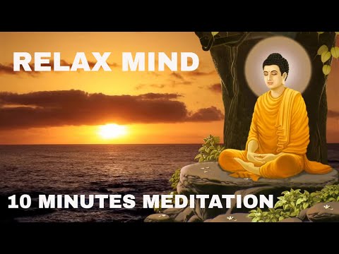Anti - Anxiety Cleanse l Peaceful Positive Energy Meditation Music l Relax Mind Body l Healing Music