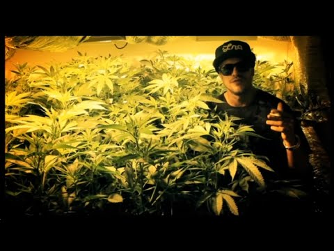 Lombra Tv Entrevista Mc Eltin