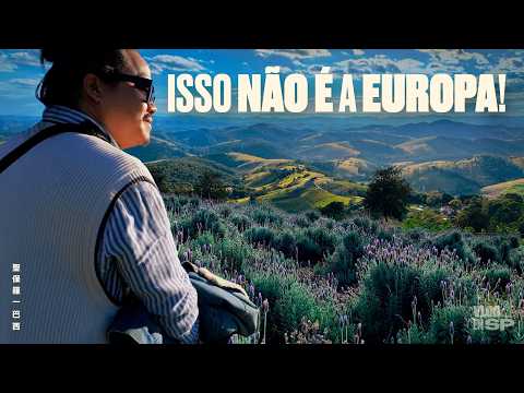 Descobri o campo de lavandas secreto em SP que parece a Europa! | CUNHA | Show Me Hao