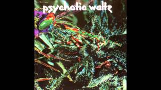 Locked Down - Psychotic Waltz