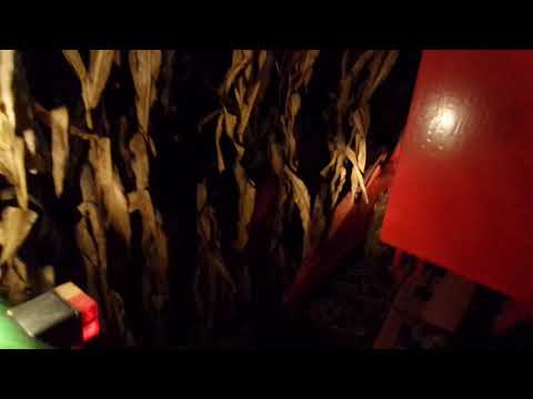 Postrni kukuruz - berba kukuruza u novembru 2017, Brezovica (Ub) #Fito LERMA - Vintage CORN HARVEST