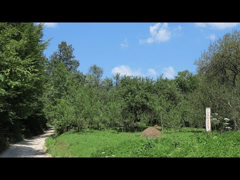 Turbina cu aer din fundul pământului. La Purcăreț, tărâmul porcului mistreț