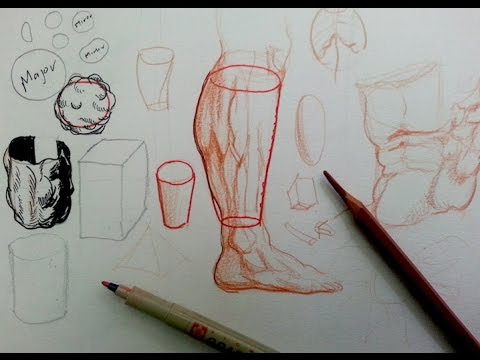 How to Draw Complex Forms Part 5 | Major vs Minor Forms