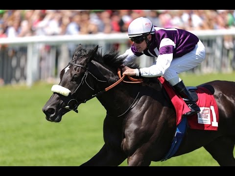 Baden-Baden: das neue welle Auftaktrennen (D) - Siegerin: Salve Estelle