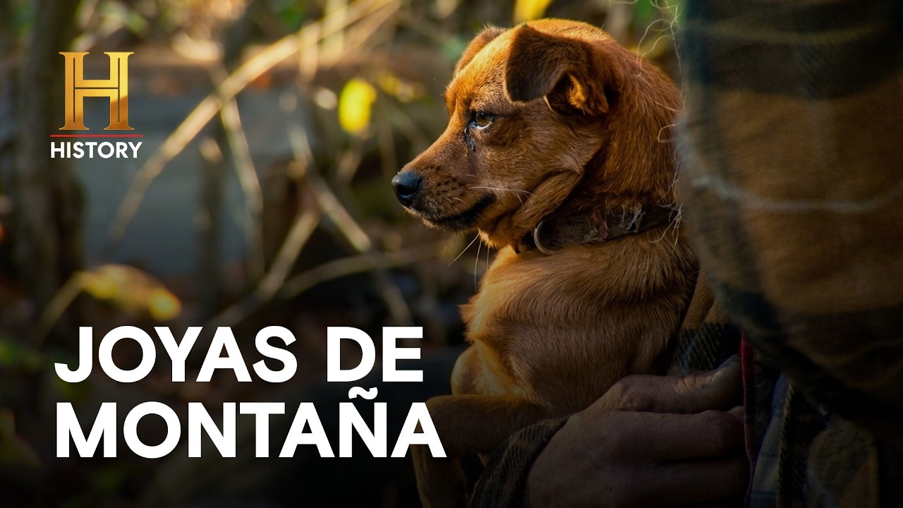 JOYAS DE MONTAÑA - La fortuna de los adictos a la basura - CAZADORES DE TESOROS
