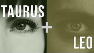 Taurus & Leo: Love Compatibility