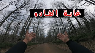 إكتشف غابة أكفادو و البحيرة السوداء