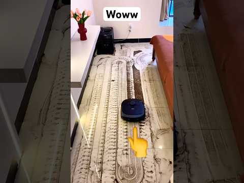 Is Robot Vacuums Worth the Money?