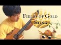 Fields of Gold / Sting をウクレレで弾いてみた！[Solo ukulele -ソロウクレレ-]