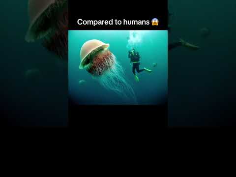 Things that are bigger than you think 😱 #shorts