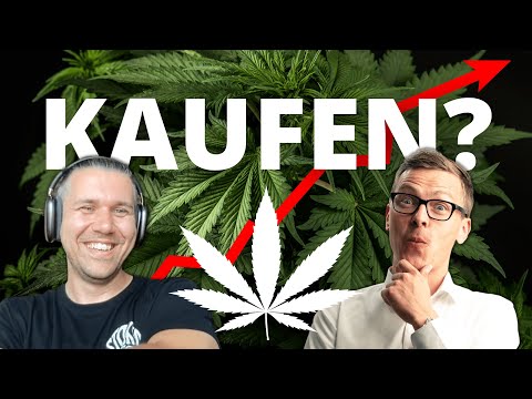 Welche Potentiale birgt der Cannabis-Markt? // Interview mit CEO von SynBiotic