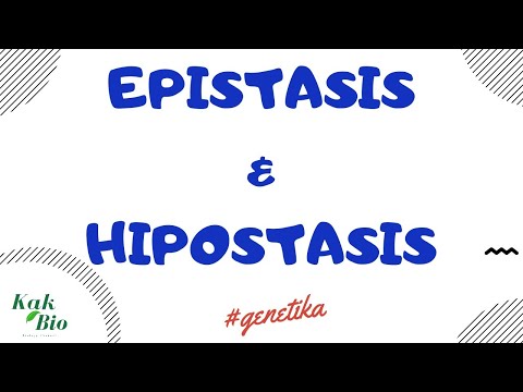 download lagu mp3 mp4 Hipostasis, download lagu Hipostasis gratis, unduh video klip Hipostasis