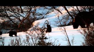 Game of Thrones -  Main Title Theme