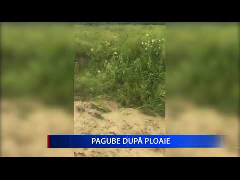 PAGUBE DUPĂ PLOAIE