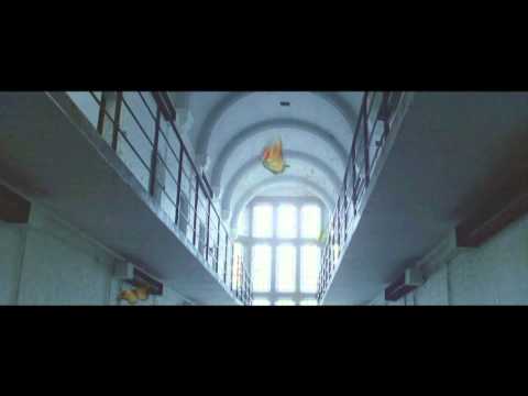 EL Valor De La Libertad HD - Youssef Bouzarhoun.