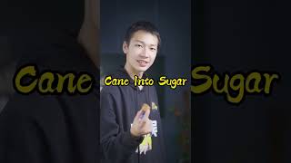 Do You Know How to Turn Sugar Cane into Sugar?