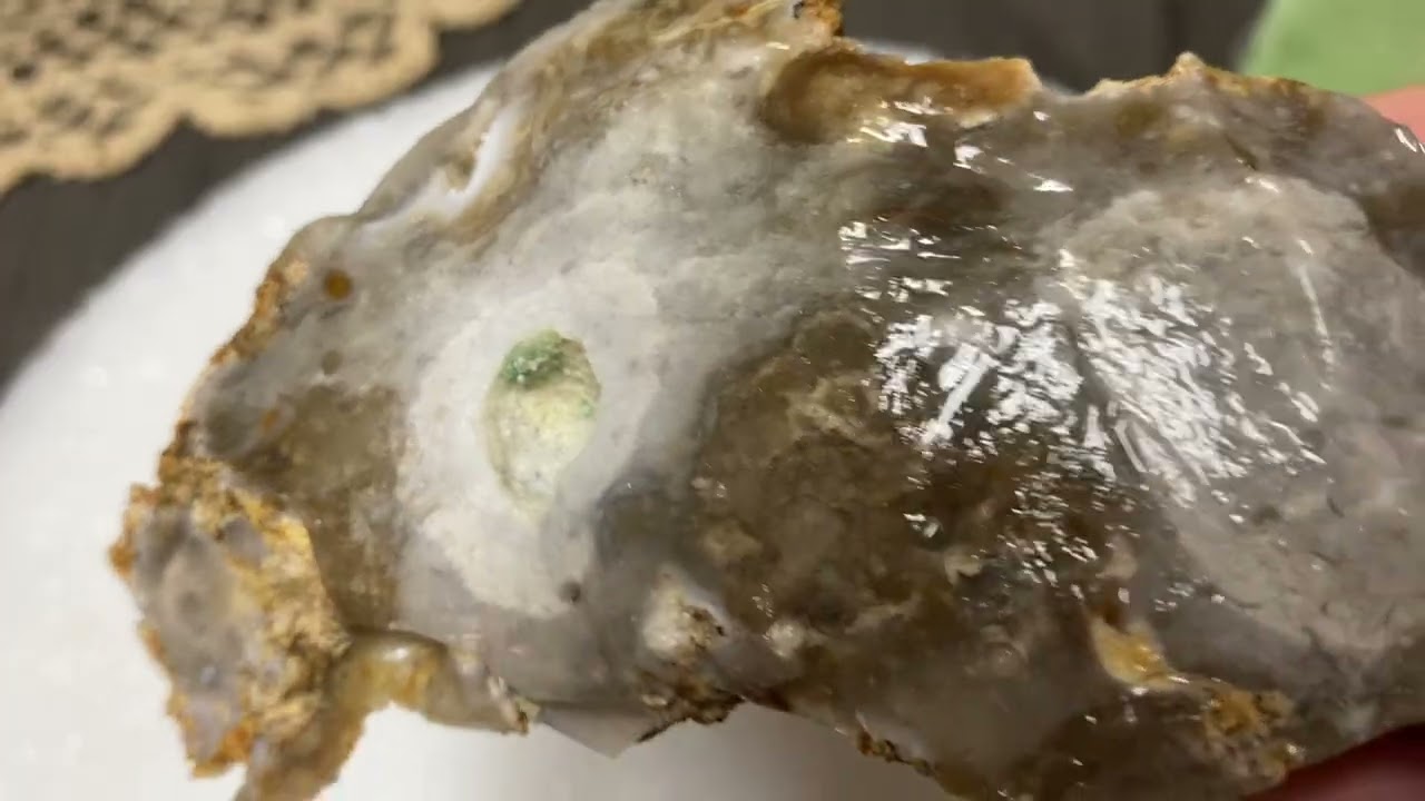 Savannah River Agate #4