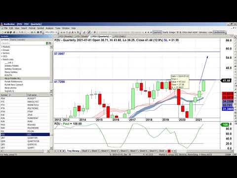 Pod lupą Pawła Szczepanika: WIG, OPF, JSW, GNB, PKO, PZU
