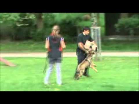 Forest z Jukasu - protection - 9 months