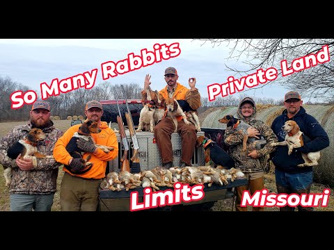The Most Epic Last Hunt of 24-25 Season for us (Rabbit Hunting with beagles)