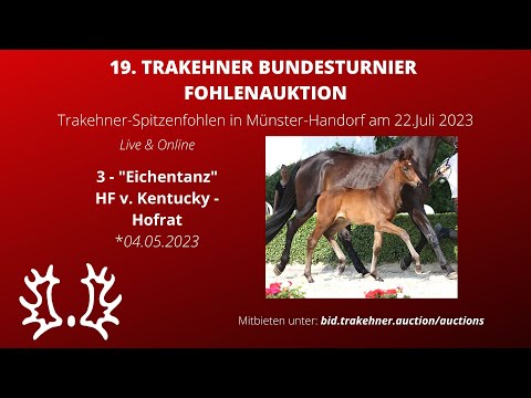 3 - Eichentanz - HF v. Kentucky - Hofrat *04.05.2023