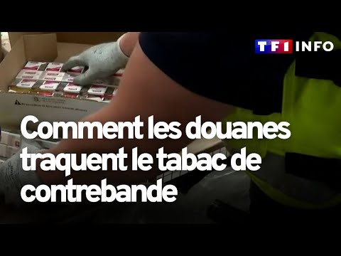 Comment les douanes traquent le tabac de contrebande