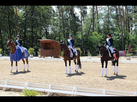 Starší junioři - Nedělní video záznamy drezurního MČR 2017 v Brně