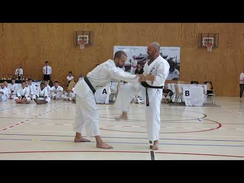 Matsumura no Passai avec bunkais