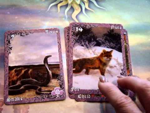 Lenormand Combinations For Beginners The Snake
