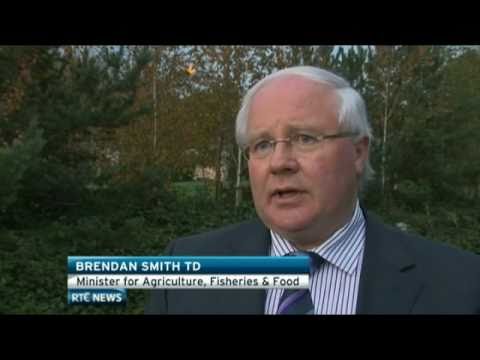 People in need to get free cheese