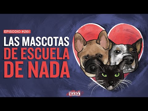 , title : 'Las mascotas de Escuela de Nada y Top 3 animales - EP #261'