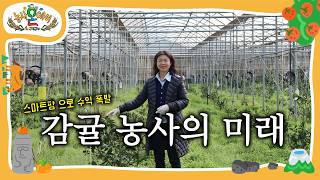 농가가 놀란 스마트팜 기술… 감귤 재배의 온도·습도 관리 미래가 바뀝니다