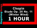 Chopin - Etude Op. 25 No. 11 (Winter Wind) 🔴 [1 HOUR] ✔️