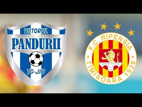 REZUMAT : Viitorul Târgu Jiu - Ripensia Timișoara 3-1 , L2 , 03.12.2022