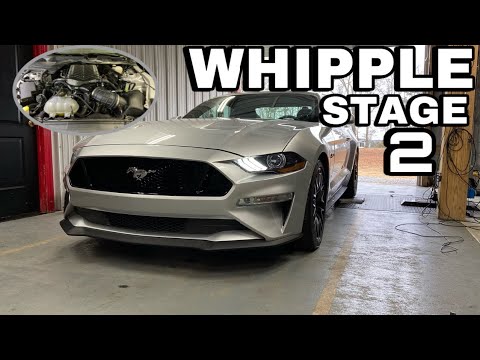 19 Mustang GT Whipple Stage 2 Install and Dyno!!