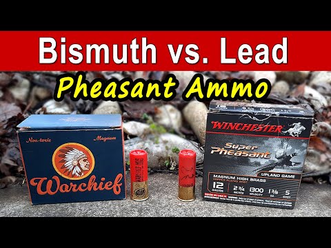 Bismuth vs. Lead Pheasant Hunting Ammo TESTED