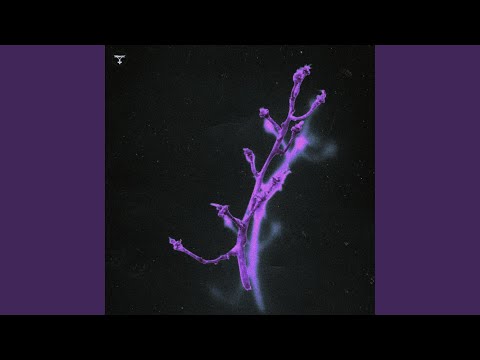 gift (feat. Seno & Lastell)