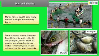 Marine Fisheries | Improvement in Food Resources | Science | Class 9th | iPrep