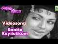 Kaattu Kuyilukkum Naattu Kuyilukkum Video Song Azhagu Nila Movie Song Kalyan Kumar Malini