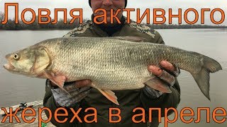 Рыбалка на раскатах в августе астрахани камызякский