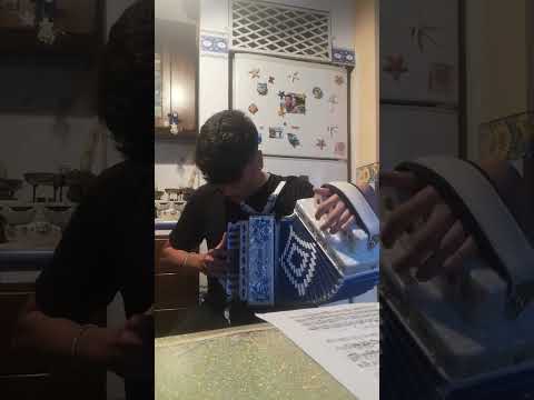 Polka delle formiche. Scuola di organetto M° Paolo Esposito.