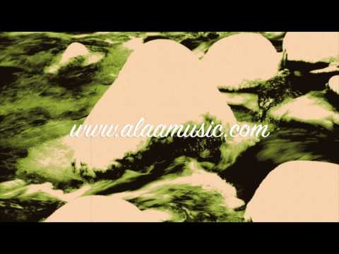 Tim Berg vs One Republic - Too Late To Bromance (Alaa's Bootleg)